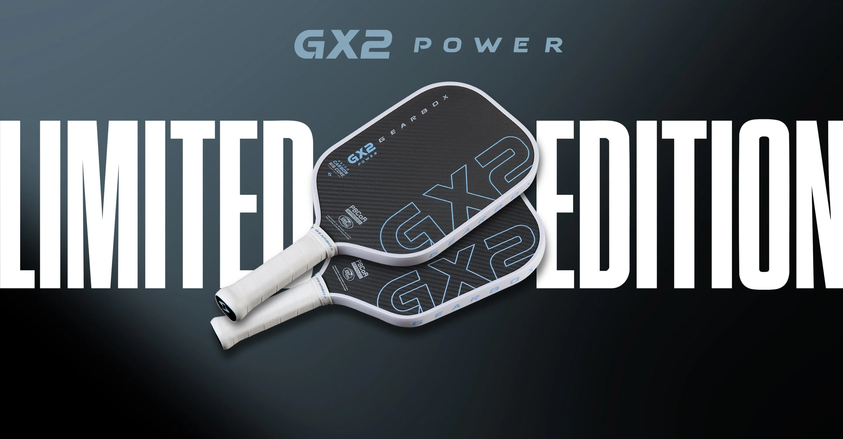 Paletas y pelotas de pickleball disponibles en PickleStore Argentina